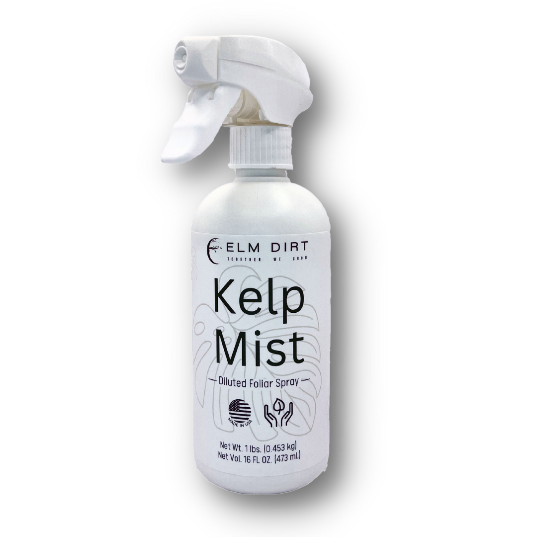 Kelp Mist