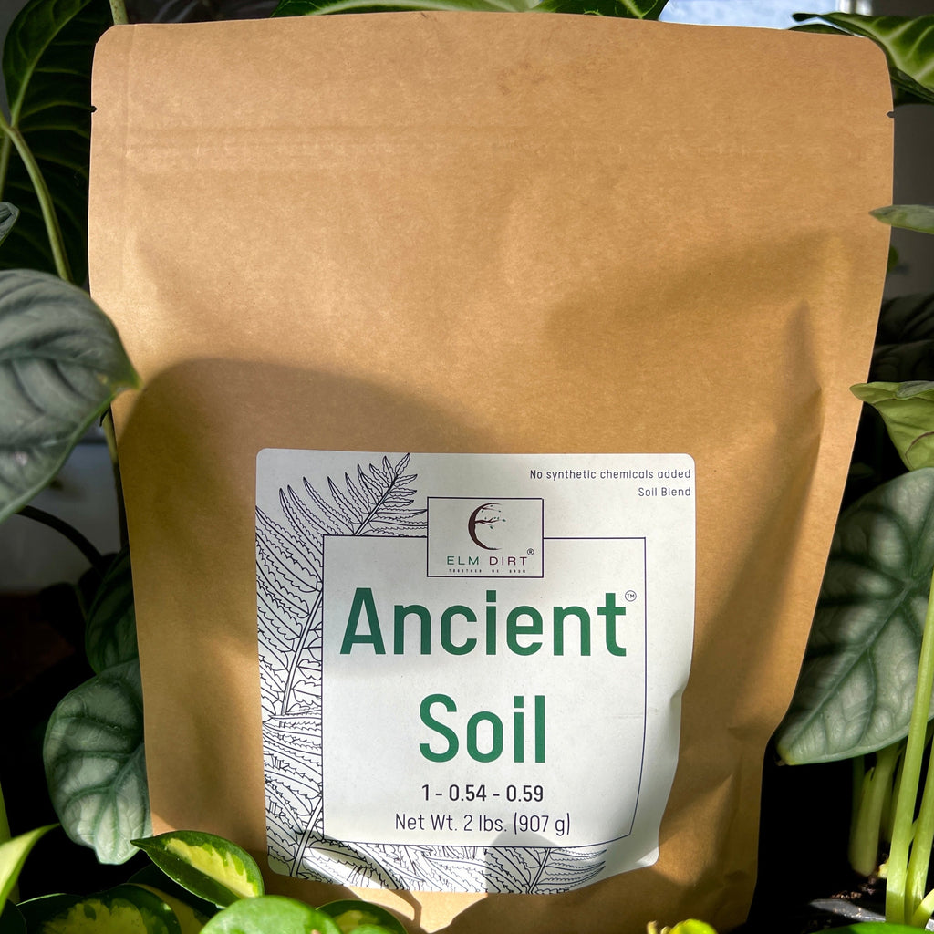 Ancient Soil