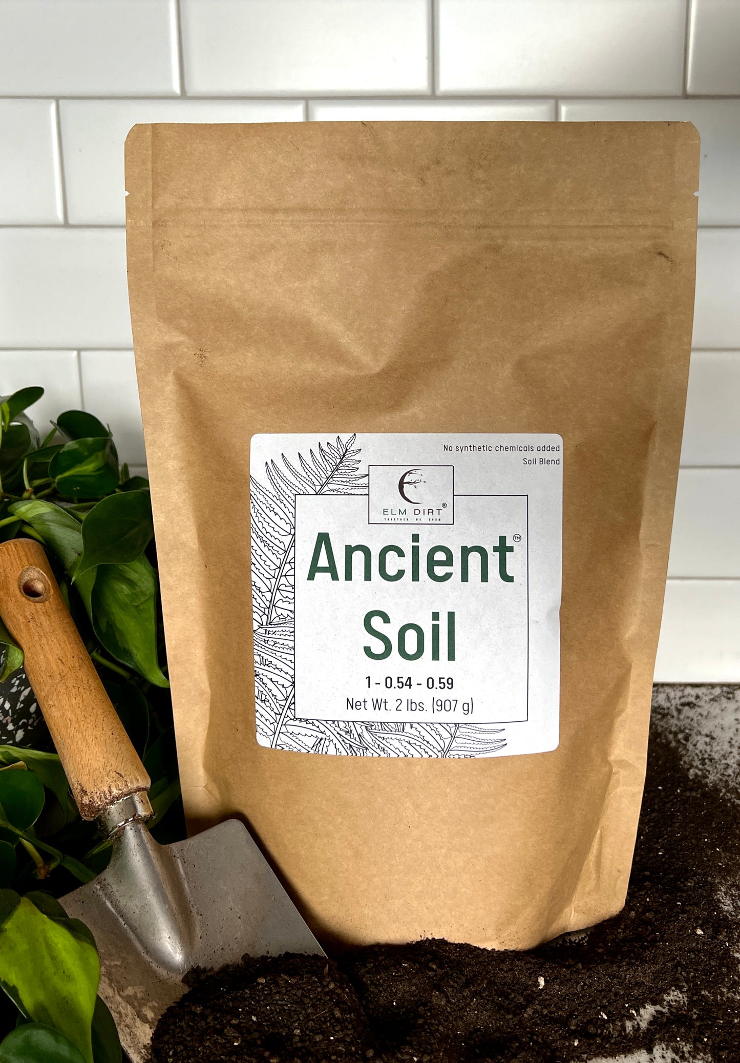 Ancient Soil