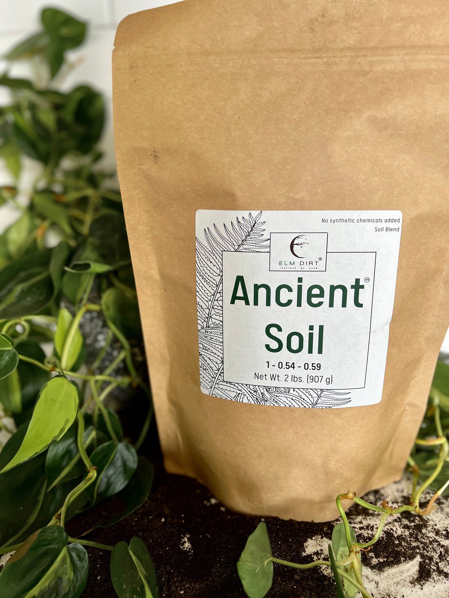 Ancient Soil