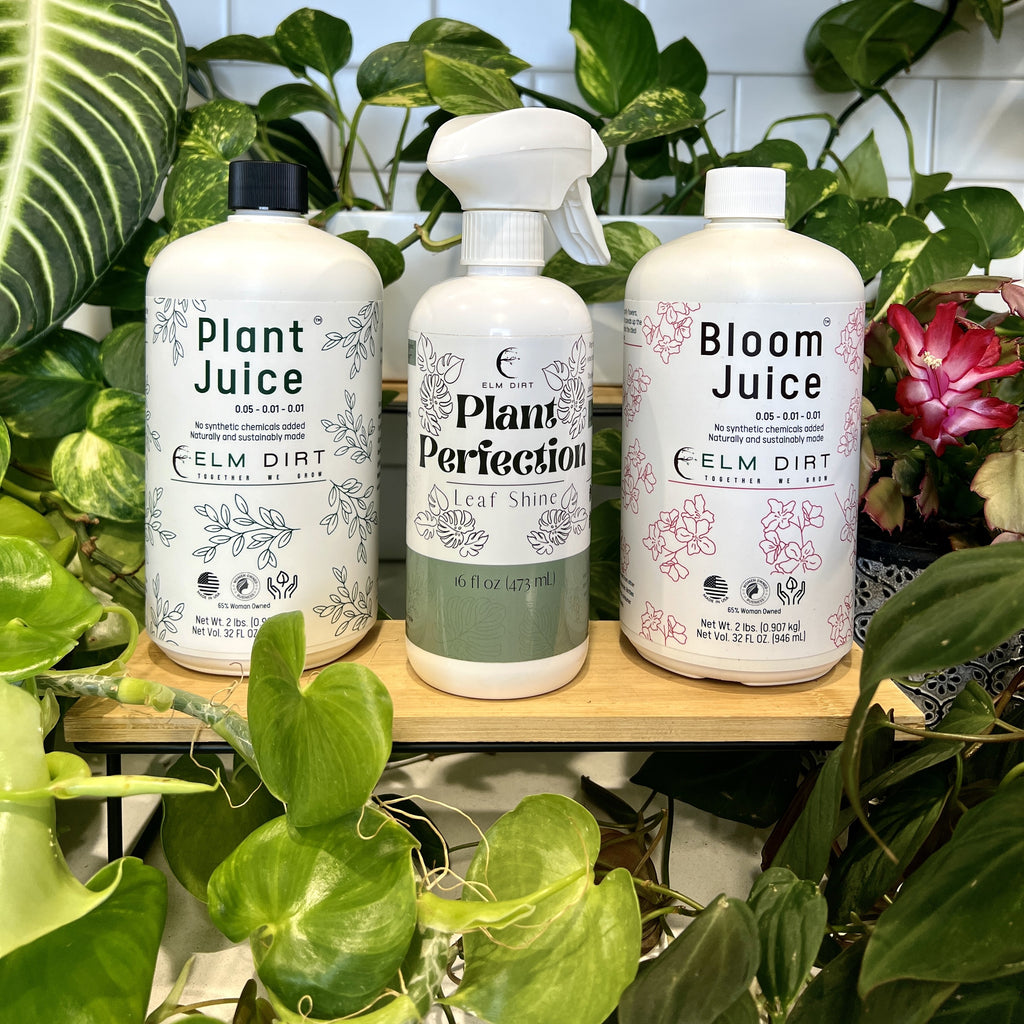 Plant Care Kit